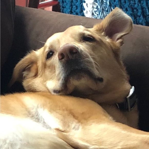 Meet your Posher, Jessica - Picture 2 of 3